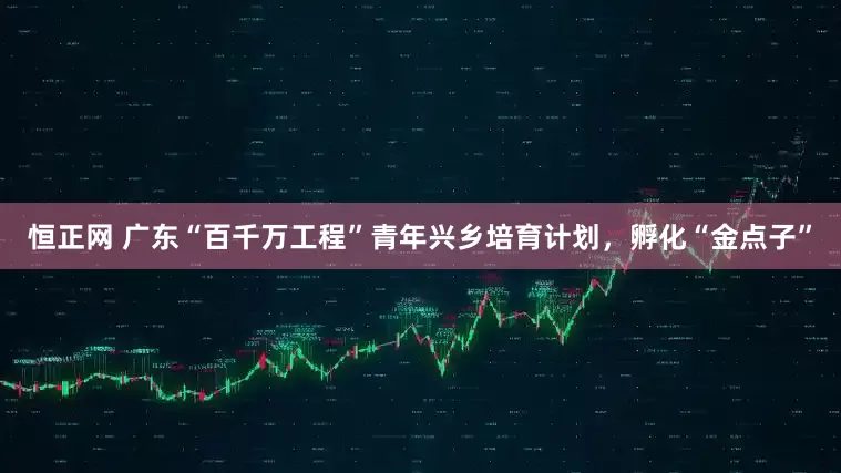 恒正网 广东“百千万工程”青年兴乡培育计划，孵化“金点子”
